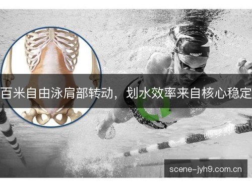 百米自由泳肩部转动，划水效率来自核心稳定